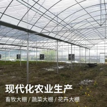 钢架大棚大棚骨架规格型号齐全厂家直销