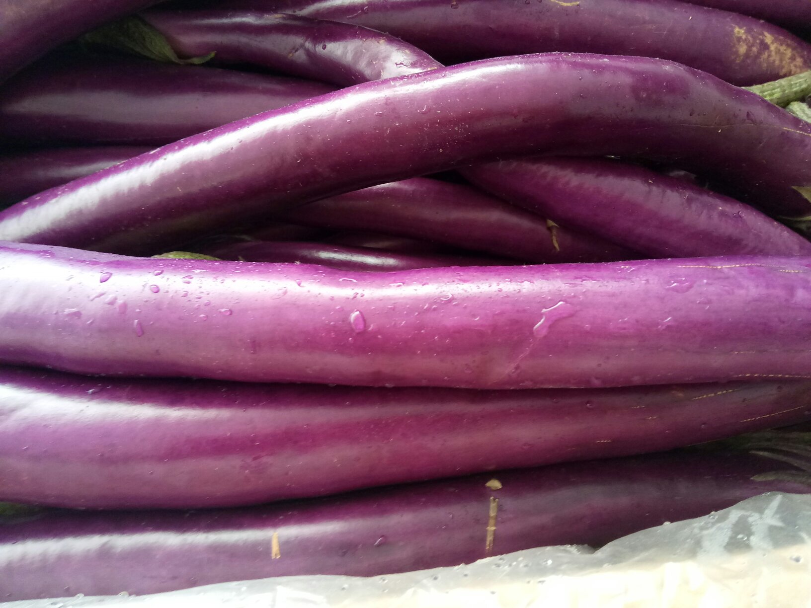 采摘中的线茄分级场景：竹编簸箕内整齐铺放三组线茄，左侧为刚采收的‘新衣茄’——果皮深紫泛蓝光、表面如釉面瓷器般平滑反光；中部为轻微失水茄——表皮光泽减弱、隐约可见细微横向收缩纹；右侧为过熟茄——果皮暗褐、局部起皱、末端微软塌