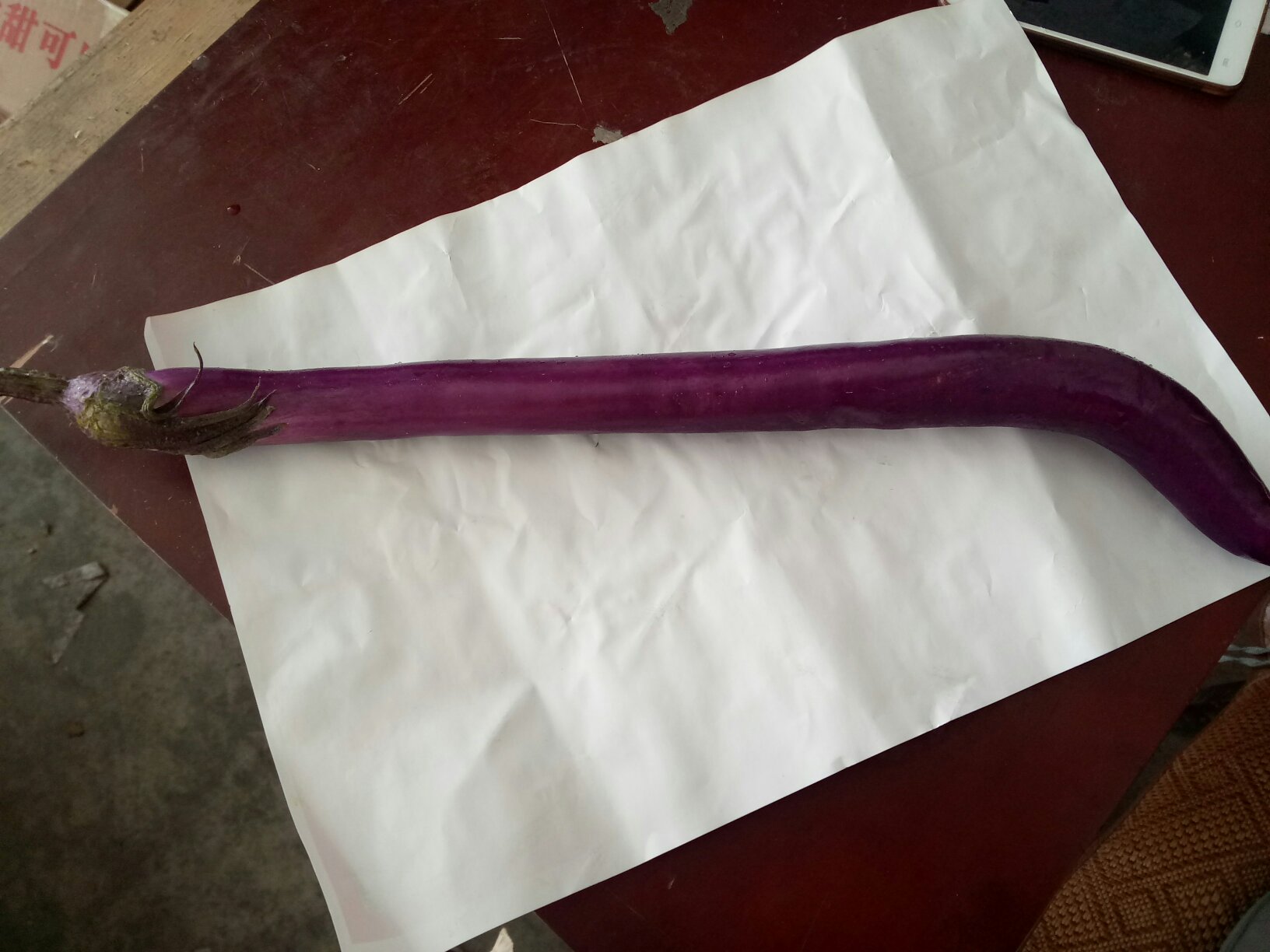 线皮紫茄特写图,展示其长条形果实与深紫色表皮 线皮紫茄特写