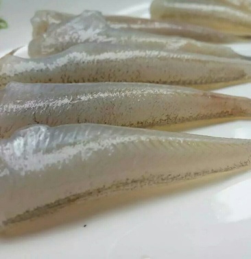 去头沙丁鱼小鱼沙梭鱼餐饮食材