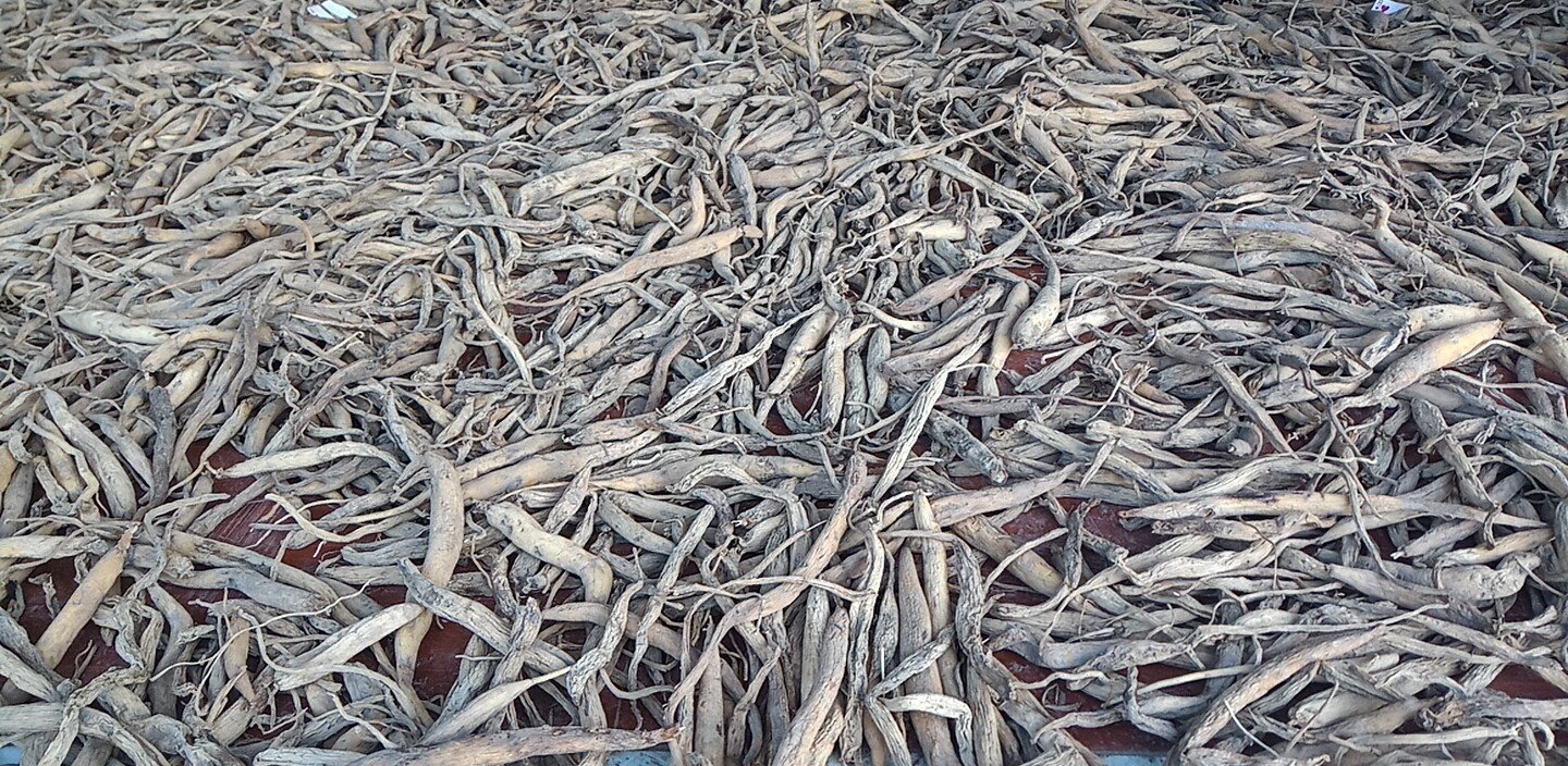 花蛤与药材搭配炖汤的养生场景