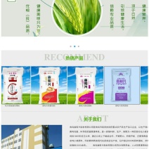 面粉厂家直销