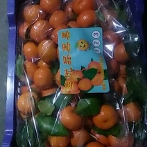 大民水果批发