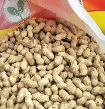 手扒花生花生米子双仁果种子,和商品米,油料米子