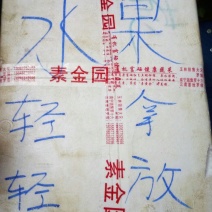 大量供应砂糖充果，大果、次果