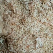 沾化虾皮