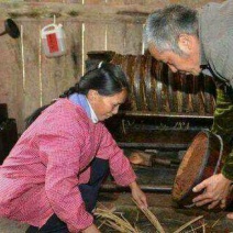 山茶油野生采摘保证正宗农民自己家的大量出批发