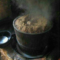正宗野生山茶油农民自己的大量批发