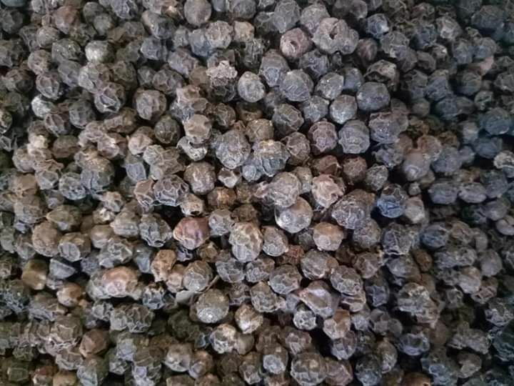 海南黑胡椒粒特写,展示其不规则球形、深棕色表面和颗粒质感 海南黑胡椒粒特写