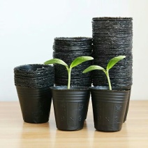 育苗袋营养钵育苗盆种植穴盘塑料营养袋育苗袋一次性花盆