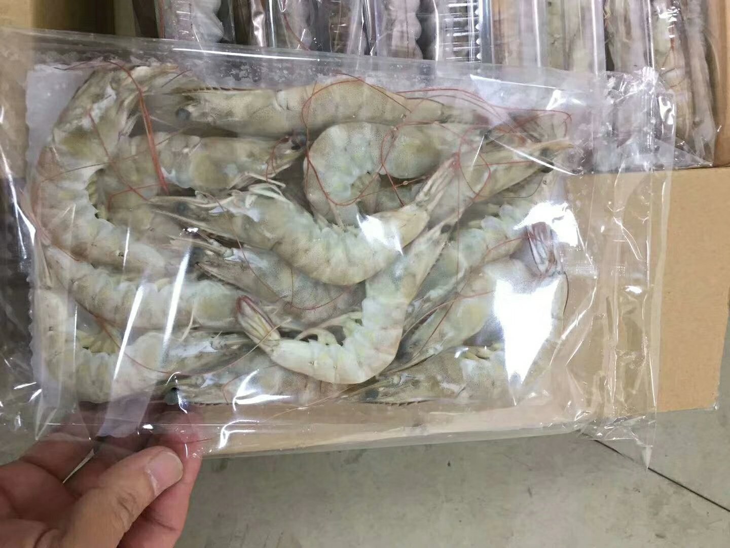场景图:一位佩戴食品级手套的女性消费者在农贸市场海鲜摊前,将白对虾倒入透明连盖塑料盒,盒内放置校准电子秤(屏幕显示500.0g),她正用记号笔在纸板上记录清点数字'23';摊主手持溯源二维码牌,背景可见'南美白对虾产地:广东湛江'标识牌 消费者现场称重计数白对虾操作实景