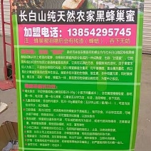 长白山黑蜂自然成熟原蜜