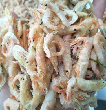 [食用盐批发]烤干无盐蹦蹦虾.价格30.00元/公斤 - 一亩田