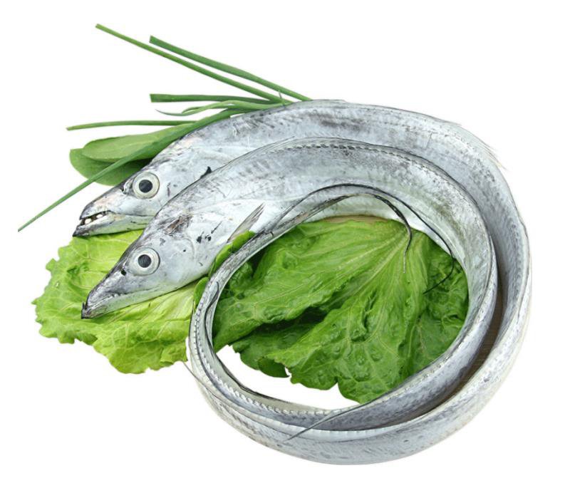 新鲜带鱼与绿叶青菜的组合 新鲜带鱼与绿叶青菜的组合