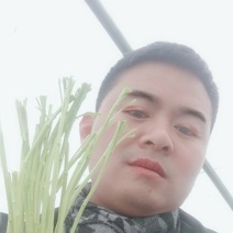 芦蒿