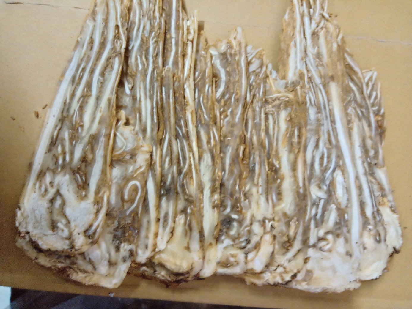 高清微距摄影:左侧为新鲜山东潍县青皮白萝卜切片(表皮青绿、肉质洁白致密),右侧为甘肃岷县道地当归饮片(表面黄棕色、断面黄白相间呈菊花心纹理,散发浓郁甘甜香气,无霉变虫蛀痕迹 白萝卜与当归药材特写对比图