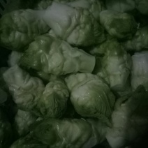 儿菜待嫁！