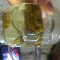 贵州毕节中药材野菊花颗粒产地直发