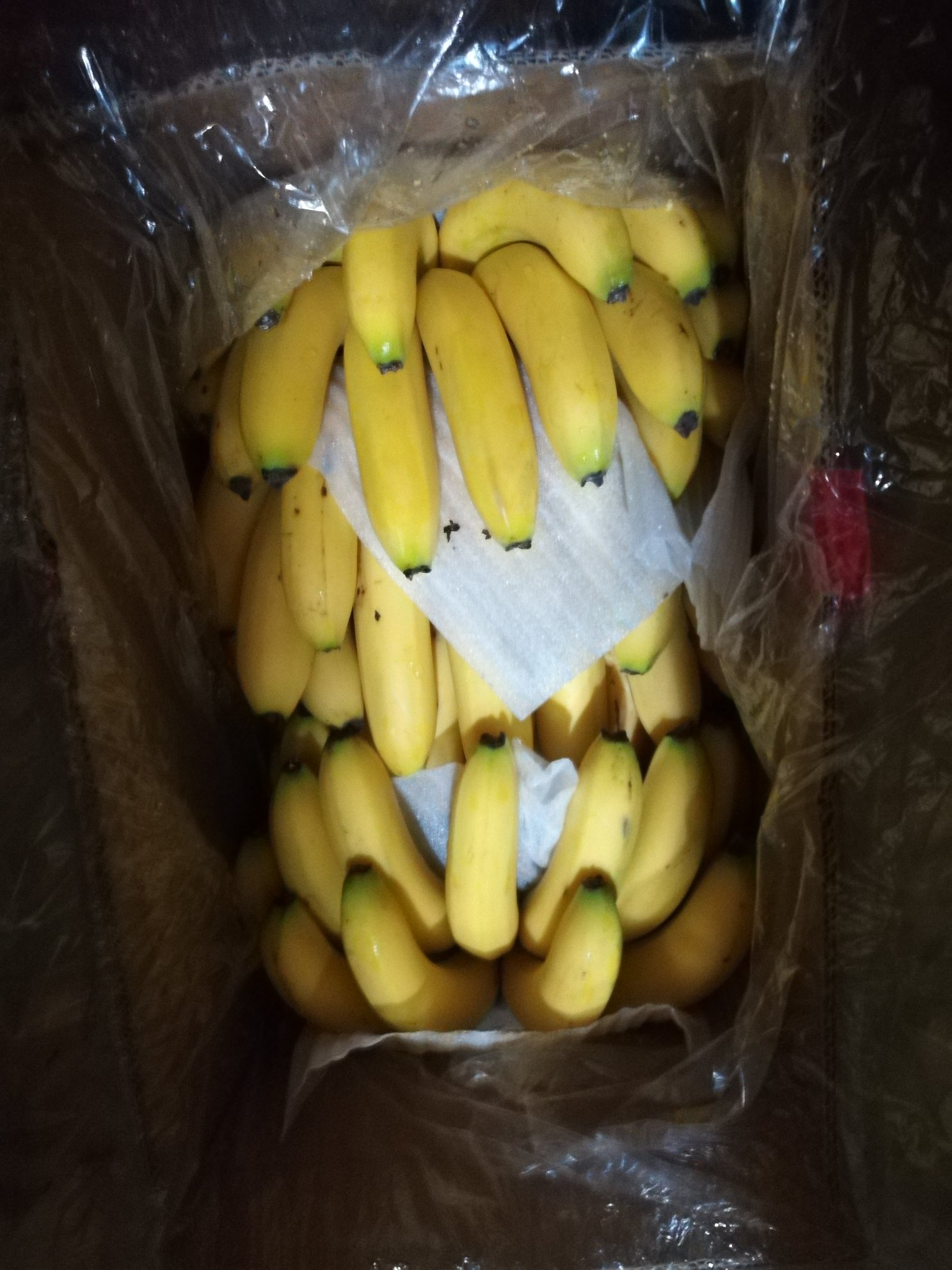 [巴西蕉批发]江苏徐州贾汪区香蕉 30.00元/件云南香蕉 ,一 _ 一亩田