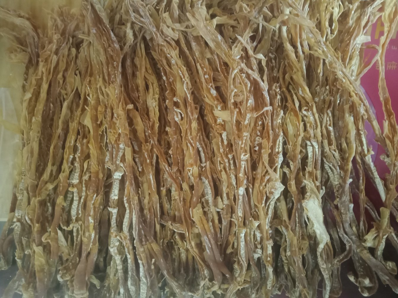 浙南高山生态种植苦竹笋鲜样:笋体紧实、蜡粉完整、无机械损伤,体现其未受热处理的天然多糖结构完整性 新鲜采挖的带泥苦竹笋特写,笋体呈青绿底覆灰白蜡粉,笋尖微紫,表面有细密横向环纹与少量褐色笋箨残留,背景为浙南山地竹林腐殖土