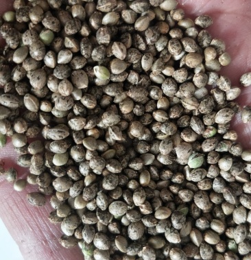 20元/斤 - 一亩田