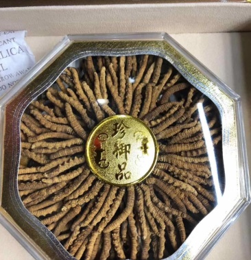 青海玉树冬虫夏草精选货一克2.5根 短把子