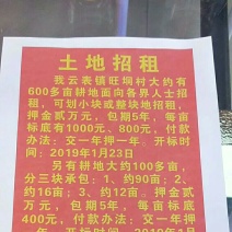 有平地，山地！可抽水