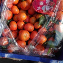芦柑砂糖