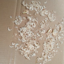提供越南生产虾皮