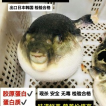 王氏水产