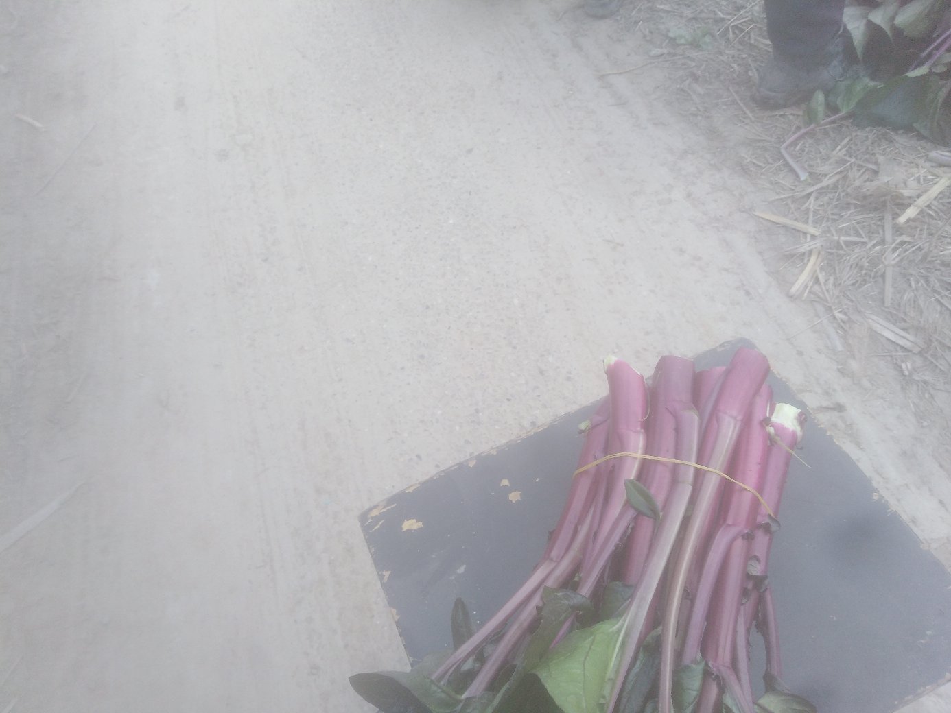 市场摊位上的红菜苔