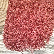 红豆薏米