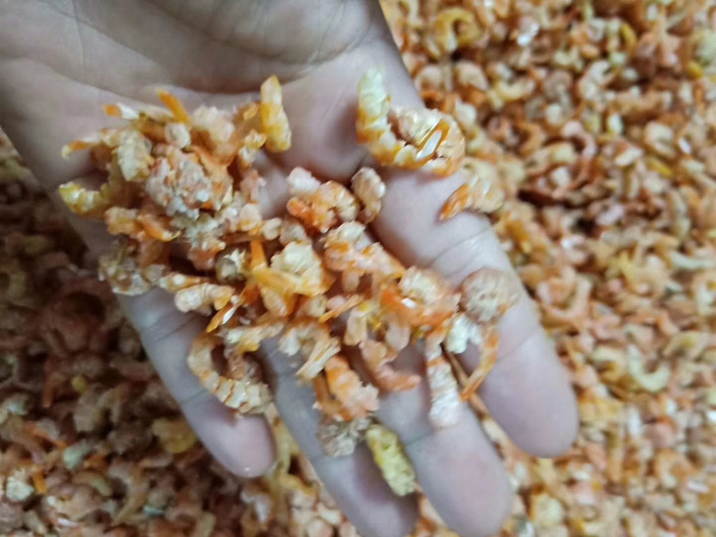 虾仁翻炒过程图