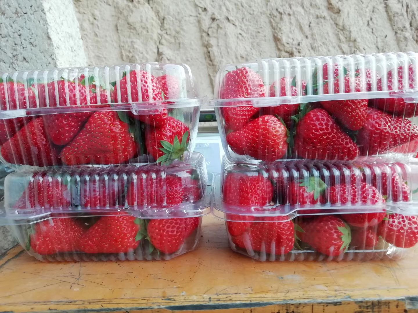 奶油草莓果实饱满、色泽鲜红,果肉细腻,散发淡淡奶香 奶油草莓果实特写