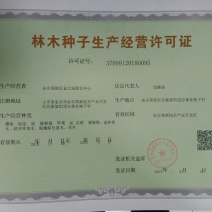 【新种子出芽率高】梨树种子梨种子手把手教你种植放心购买