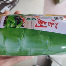 莴笋种子宝剑青皮青肉莴笋种子