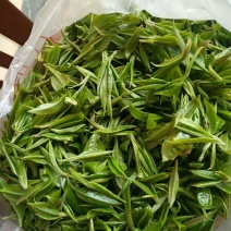野生大树茶叶