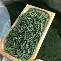 四川峨眉山【高山小米芽雀舌】新茶，全囯一件代发