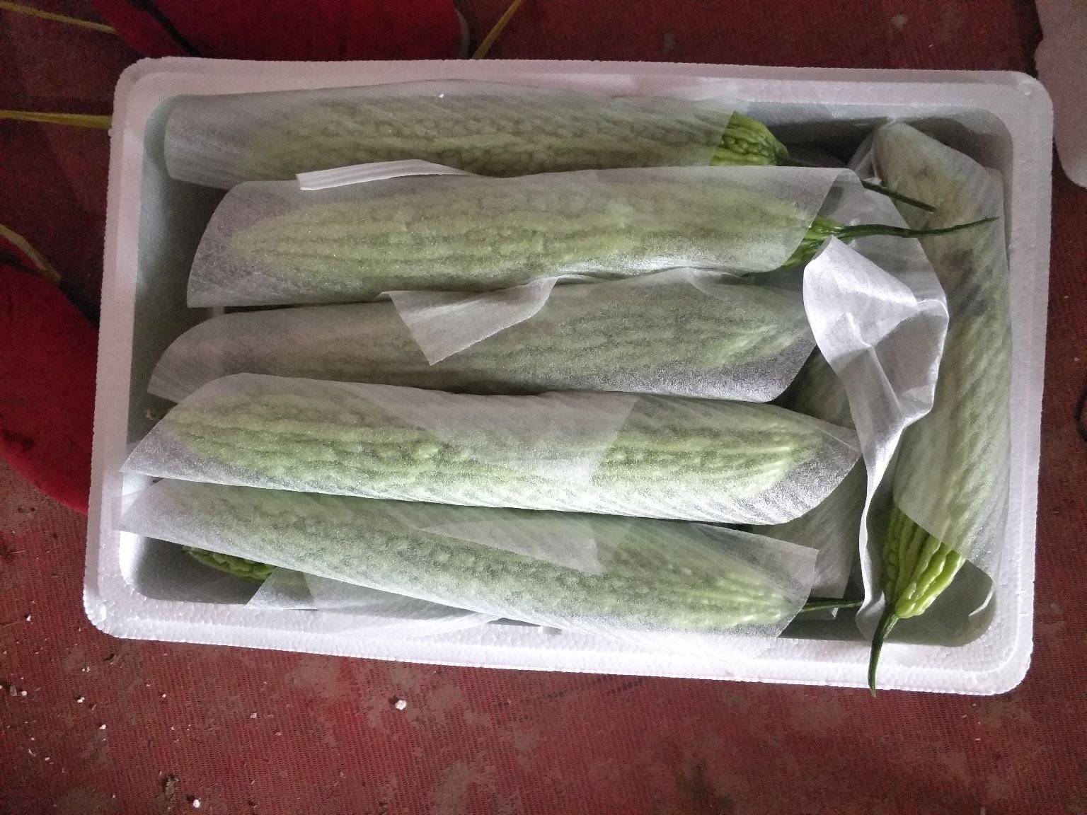 苦瓜放置在冰箱中的状态
