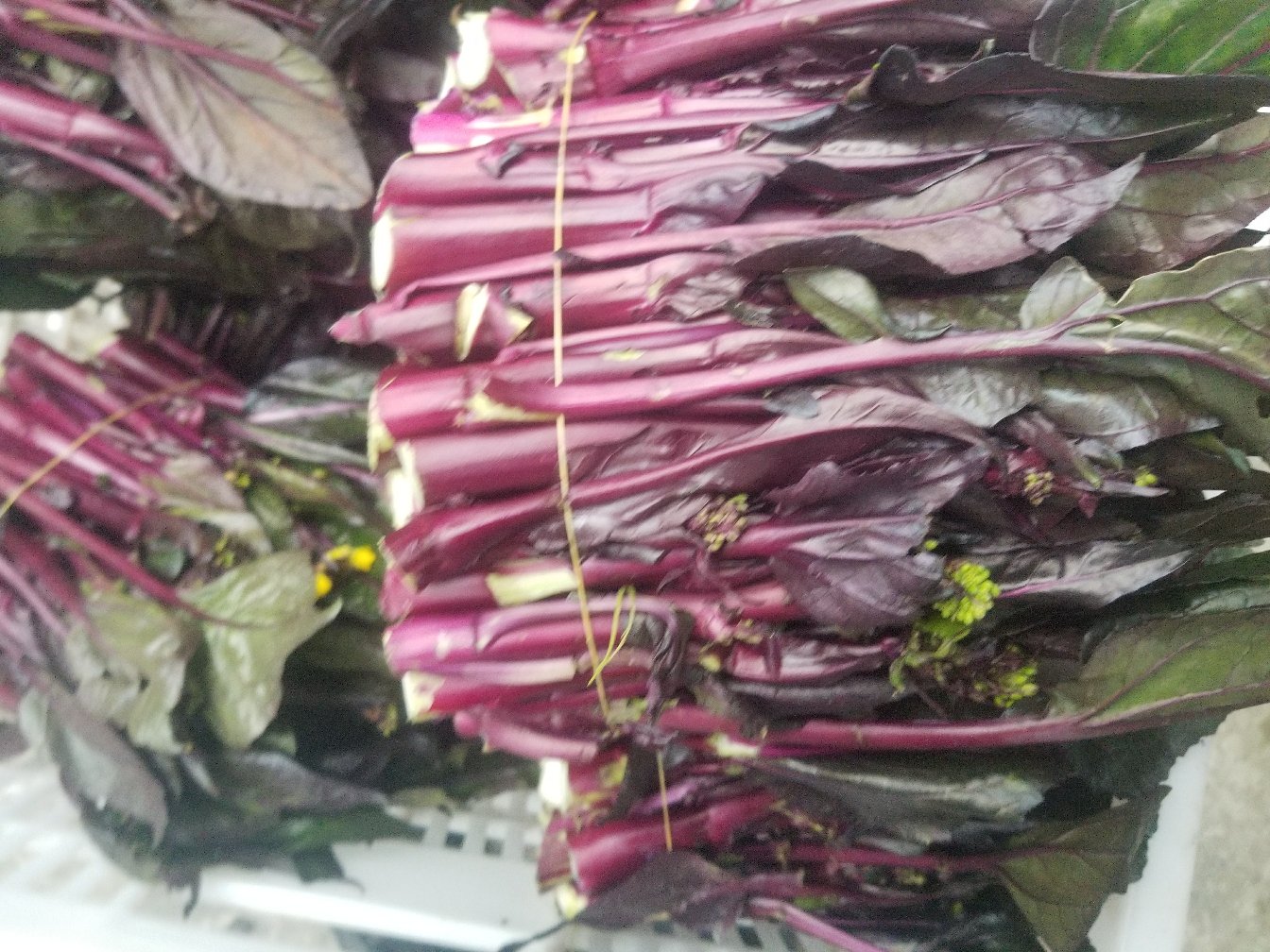 红菜苔生熟对比图