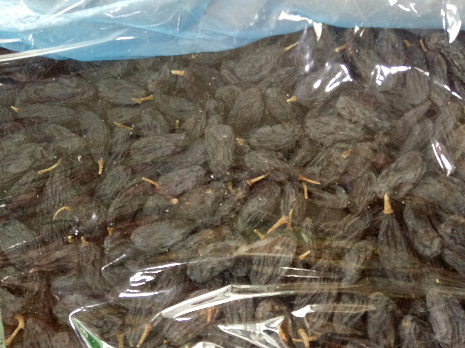 黑加仑果实特写图