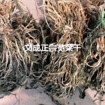 售干货刀豆，苋菜，梅菜，笋，田菜，四季豆，长豆，苦株豆腐