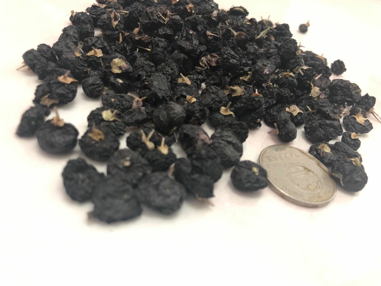 红枸杞与黑果枸杞植株对比图