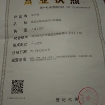 纯红桔种子