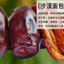 大量新疆椰枣，新货，树上面包，进口品种，好吃停不下来