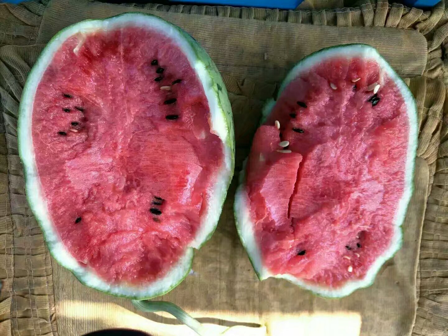科学插图:西瓜果肉薄壁细胞超微结构,箭头指示胞质内profilin蛋白富集区(红色颗粒),旁附IgE抗体Y形结构与之特异性结合的分子对接示意图,体现交叉反应机制 显微镜下西瓜果肉细胞结构示意图,标注出细胞质中富含profilin蛋白(Cuc l 2)的颗粒状区域,周围环绕免疫球蛋白IgE分子结合过程动态图解