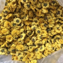 婺源黄菊