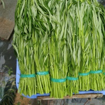 青梗空心菜