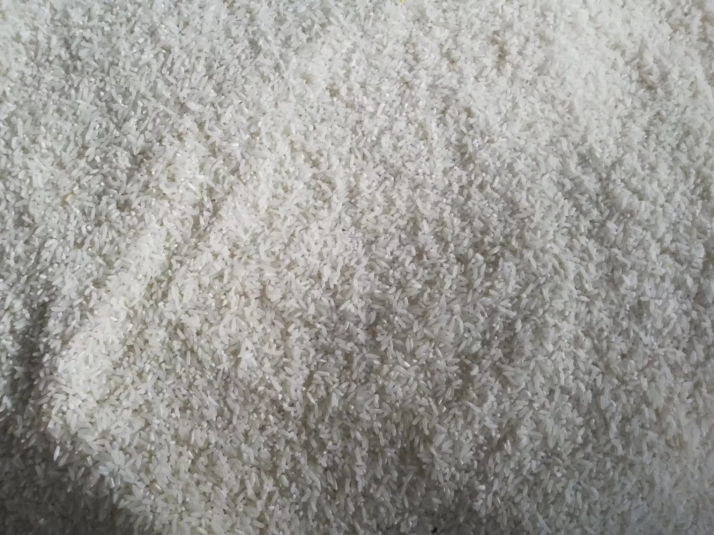 手机屏幕截图风格:主流电商平台小米类目TOP3商品详情页局部,重点高亮显示‘执行标准:GB/T 19503—2004’文字区块、红色‘地理标志保护产品’徽章图标、以及用户真实评价中高频出现的‘米香浓郁’‘熬粥起沙’‘孩子爱吃’等关键词云,背景虚化体现购物APP界面特征 电商平台小米商品页截图:标注GBT19503与地理标志双认证的热销产品详情