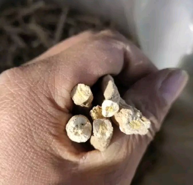 信息可视化图表:中央为人体心脑肝三维简笔轮廓,周围放射状连接6条彩色通路箭头,分别标注'AMPK通路→脂代谢'、'NF-κB通路→抗炎'、'BDNF/TrkB→神经修复'等文字;每条通路旁配有对应皂苷单体分子结构简图(Rg1、Rb1、R1),背景为蓝绿渐变科技风 三七皂苷作用机制信息图:多靶点分子通路示意图